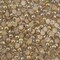 Crystal Lane DIY SS20(5mm) Plastic Pearl Flatback Rhinestones, 575pcs